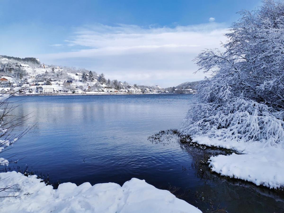 Chalet Entre Lac Et Volcan 米罗勒 外观 照片